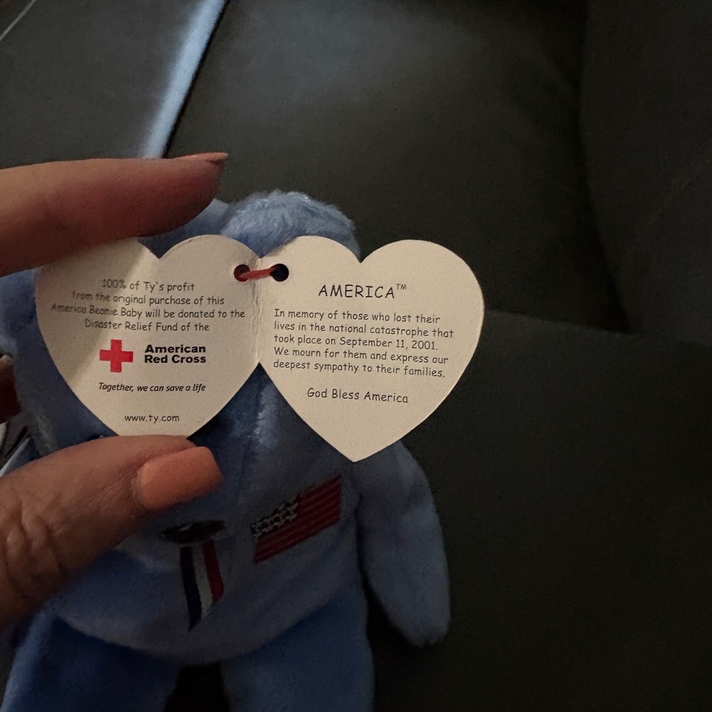 Ty Blue America Plush Bear